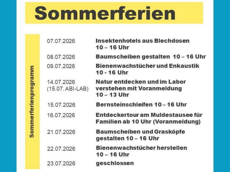 Sommerferienprogramm bis Mitte Juli
